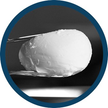 Tout savoir sur la mozzarella